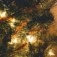 Weihnachtsbaum canva